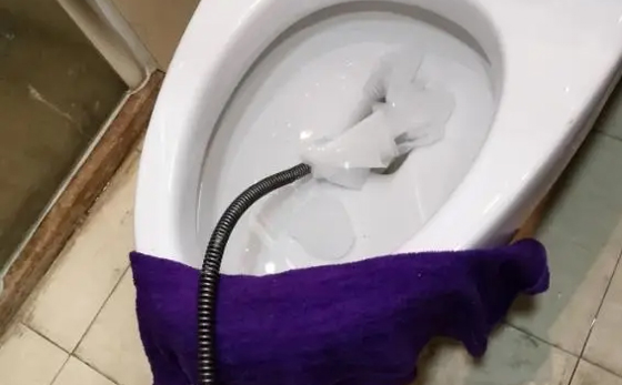 赵西垸林场马桶疏通