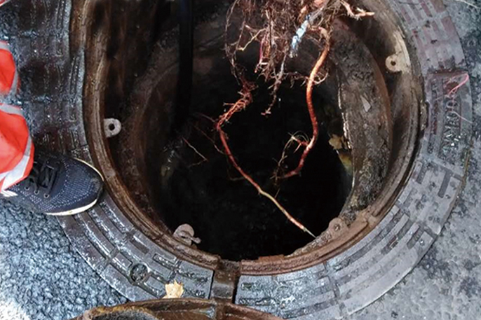 赵西垸林场管道预处理